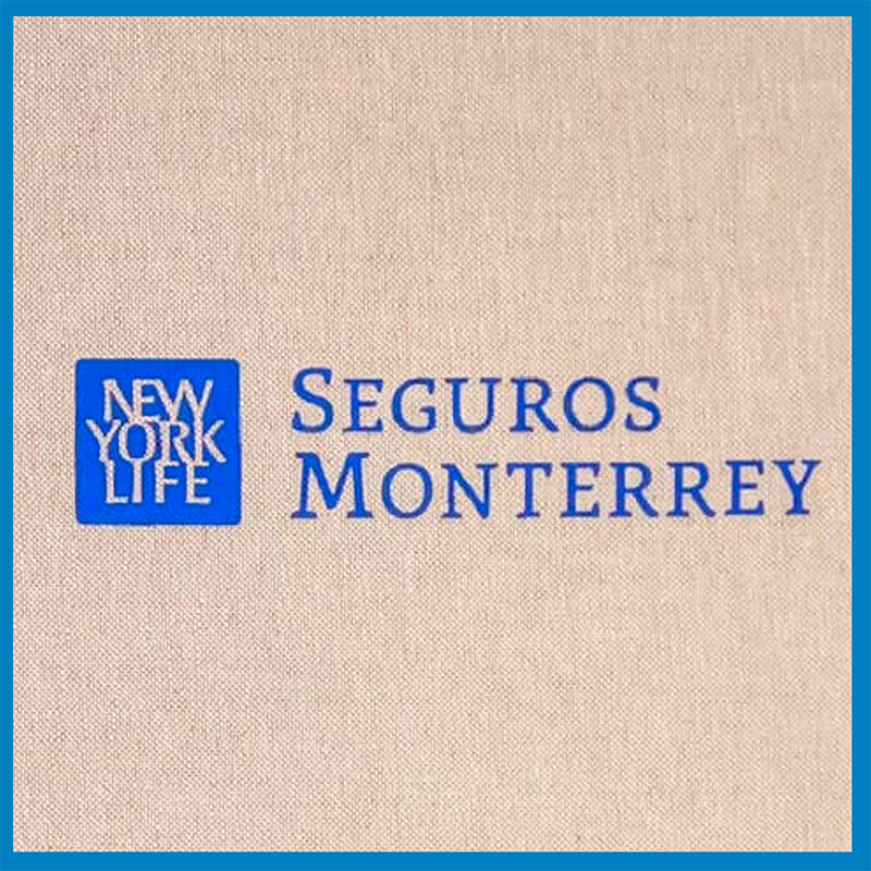 SEGUROS MONTERREY