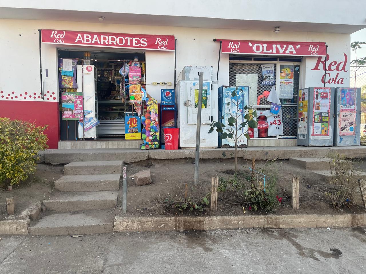 Abarrotes Oliva