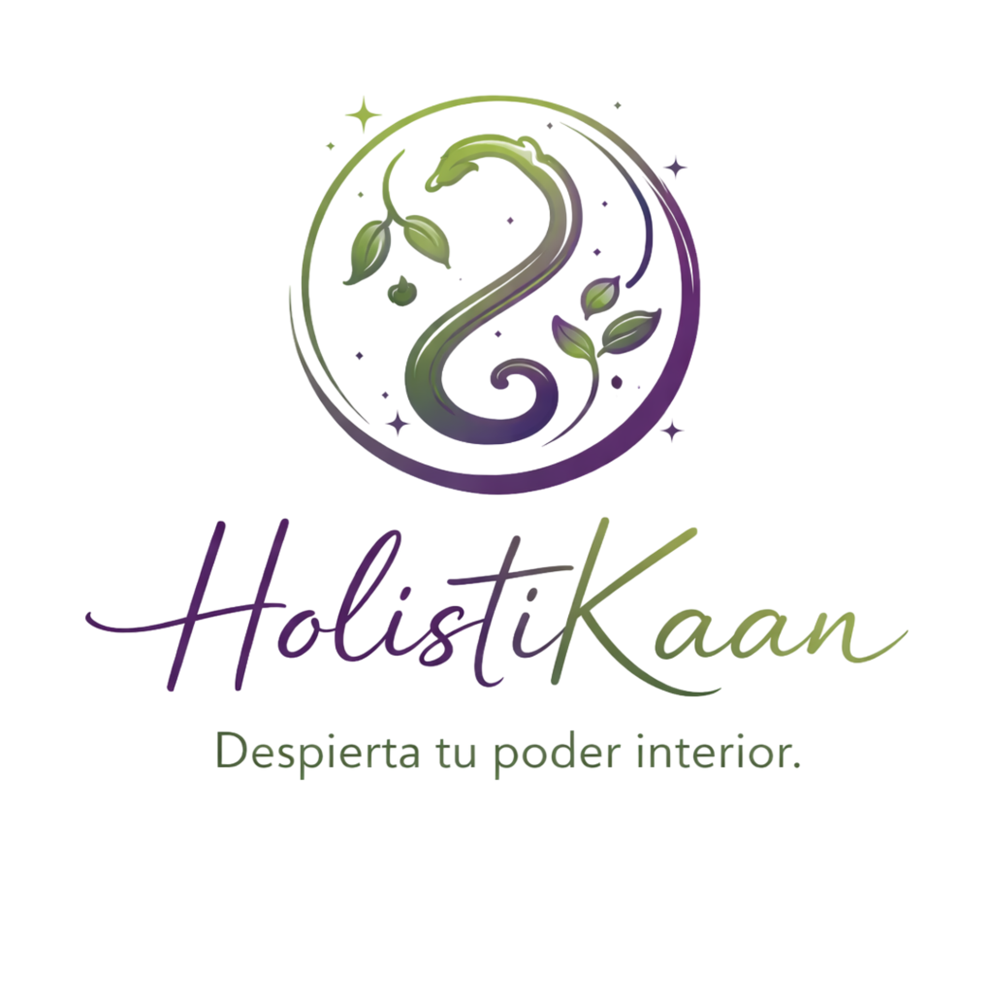 Holistikaan