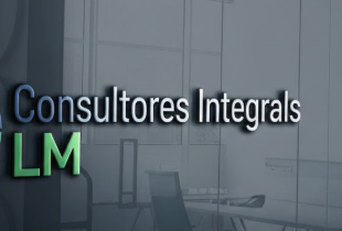 Consultores Integrales LM