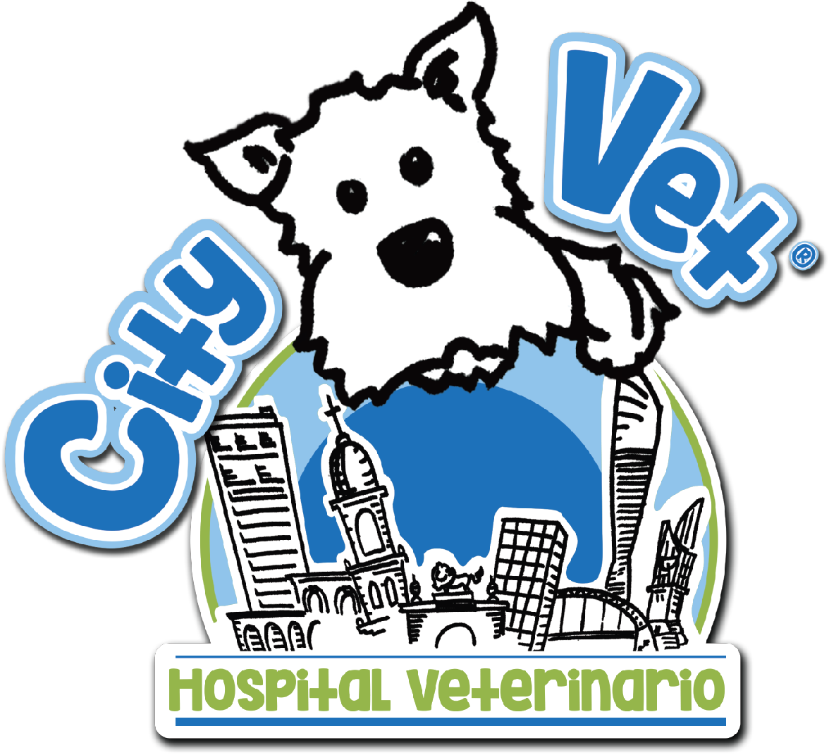 Hospital Veterinario City