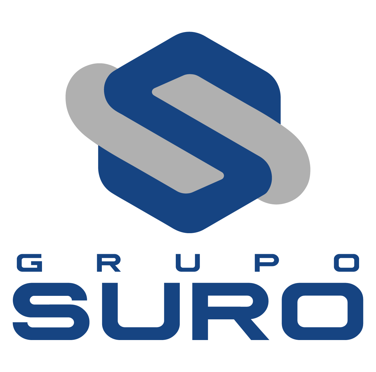 Grupo Suro
