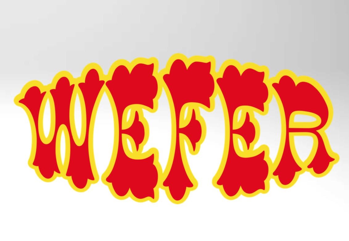 CURTIDOS WEFER